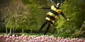 BEES! - credit Ros Kavanagh 800x400